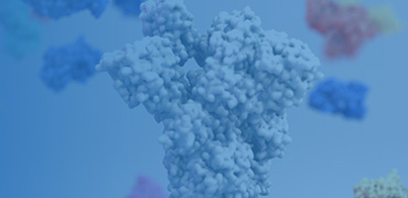 Catalog Proteins